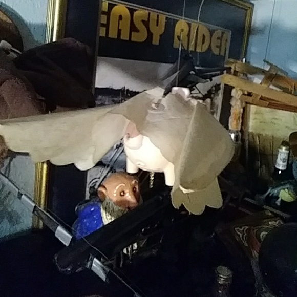 Authentic flying pig - Picture 3 of 3